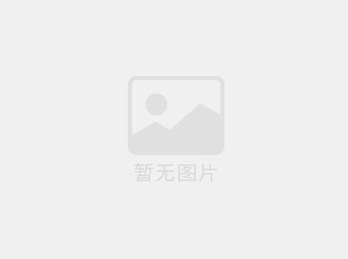  糾偏系統功能定位差異